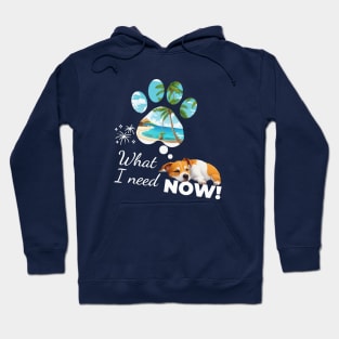 what i need  now- Jack Russell Terrier Dreams of the Beach Hoodie
